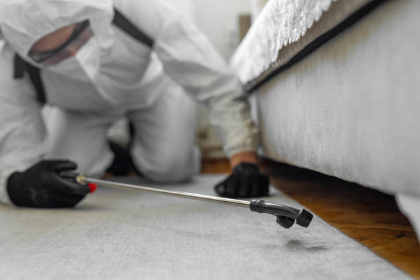 Professional Bed Bug Control technician working in Newport, OR